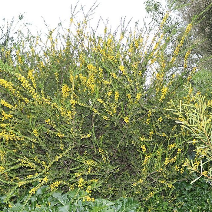 Photo de Domaine du Rayol