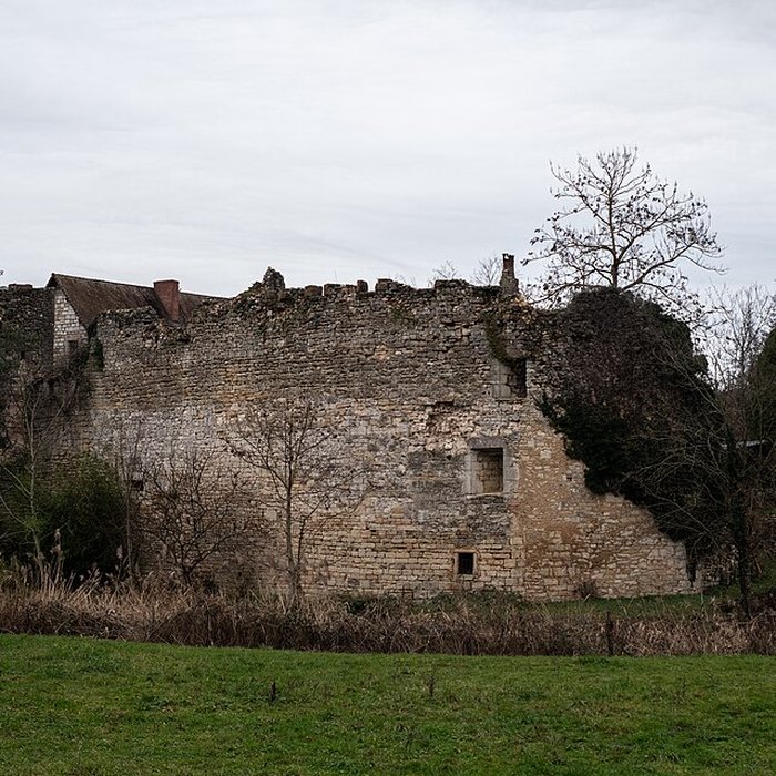 Photo de Château de Chevigny