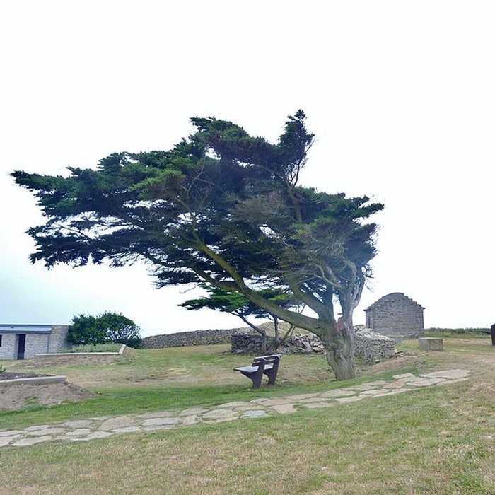 Photo de Nécropole mégalithique de la Pointe du Souch à Plouhinec