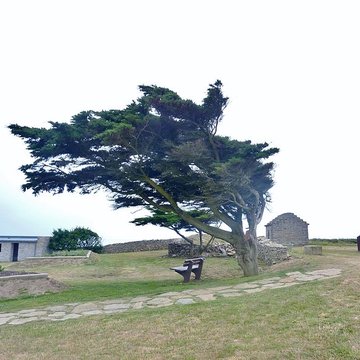 Nécropole mégalithique de la Pointe du Souch à Plouhinec