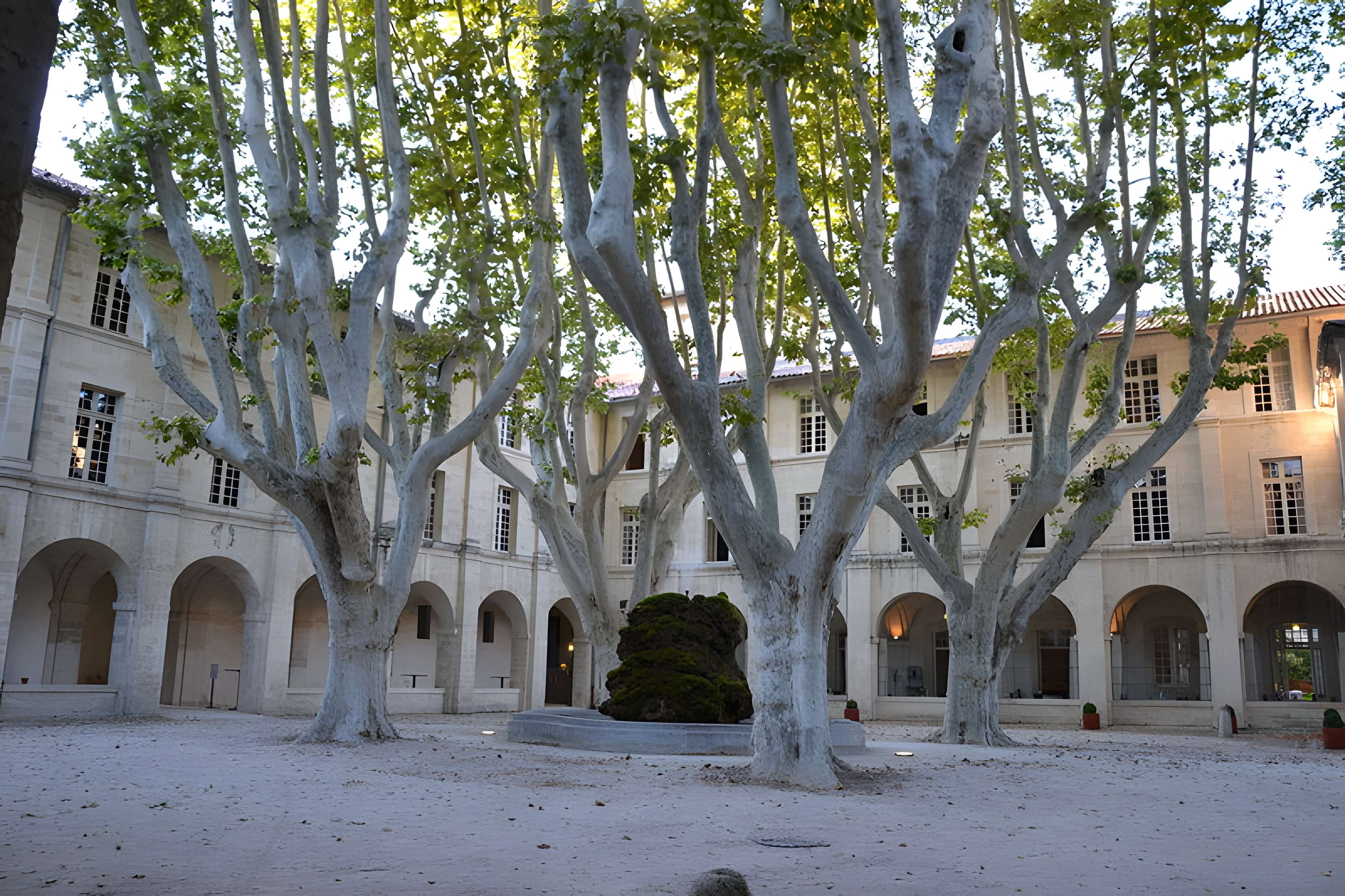 Noviciat des Jésuites d'Avignon