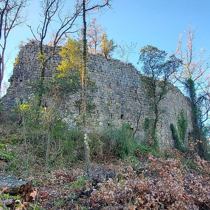 Photo de Village médiéval de Puybresson ou Pibresson-Venasque ruines du