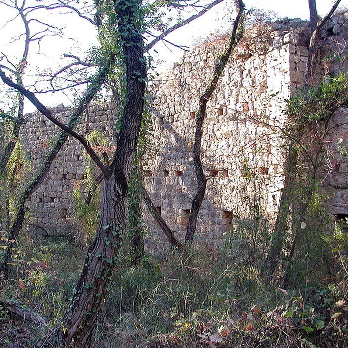 Photo de Village médiéval de Puybresson ou Pibresson-Venasque ruines du