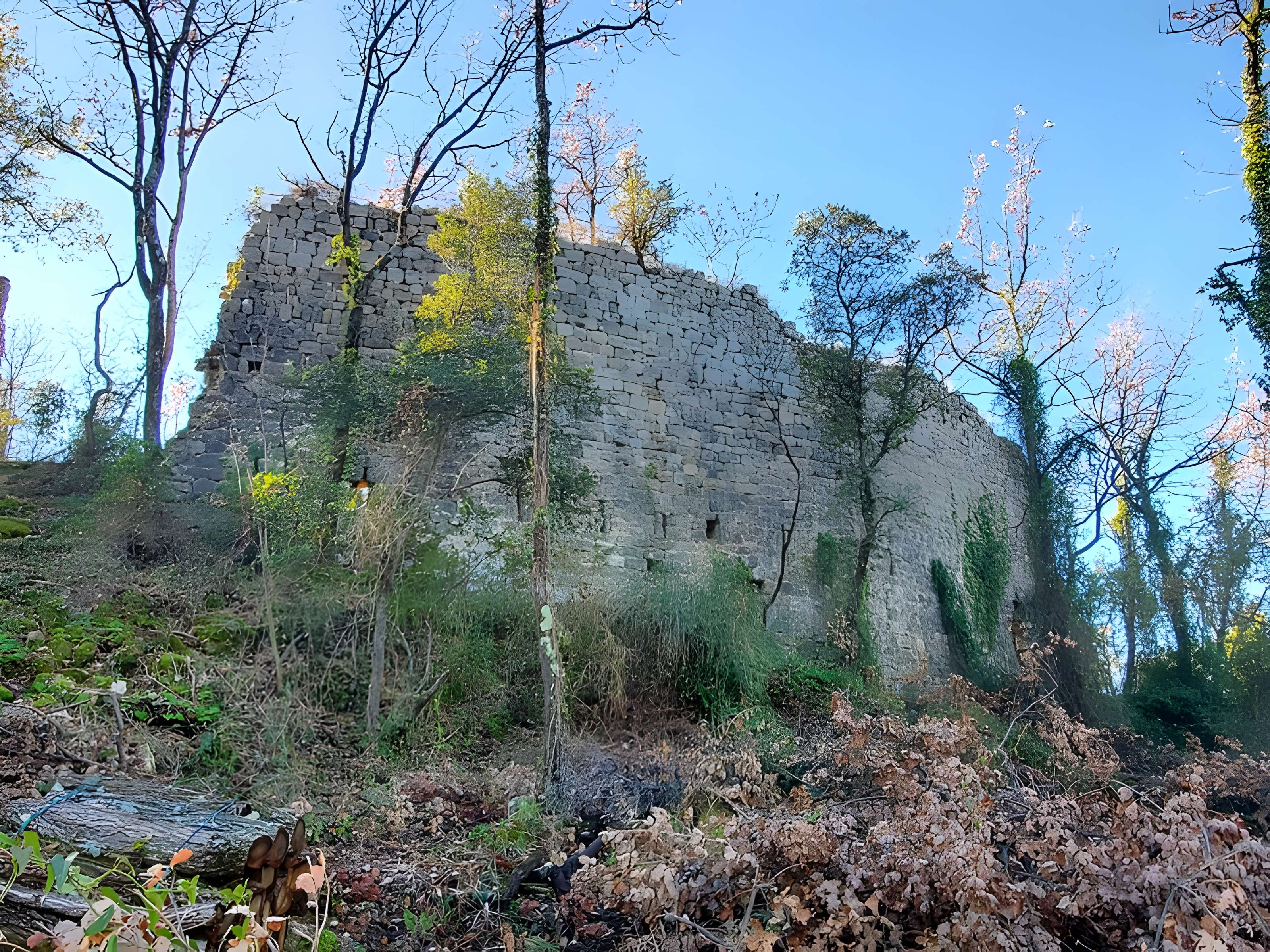 Village médiéval de Puybresson ou Pibresson-Venasque (ruines du)