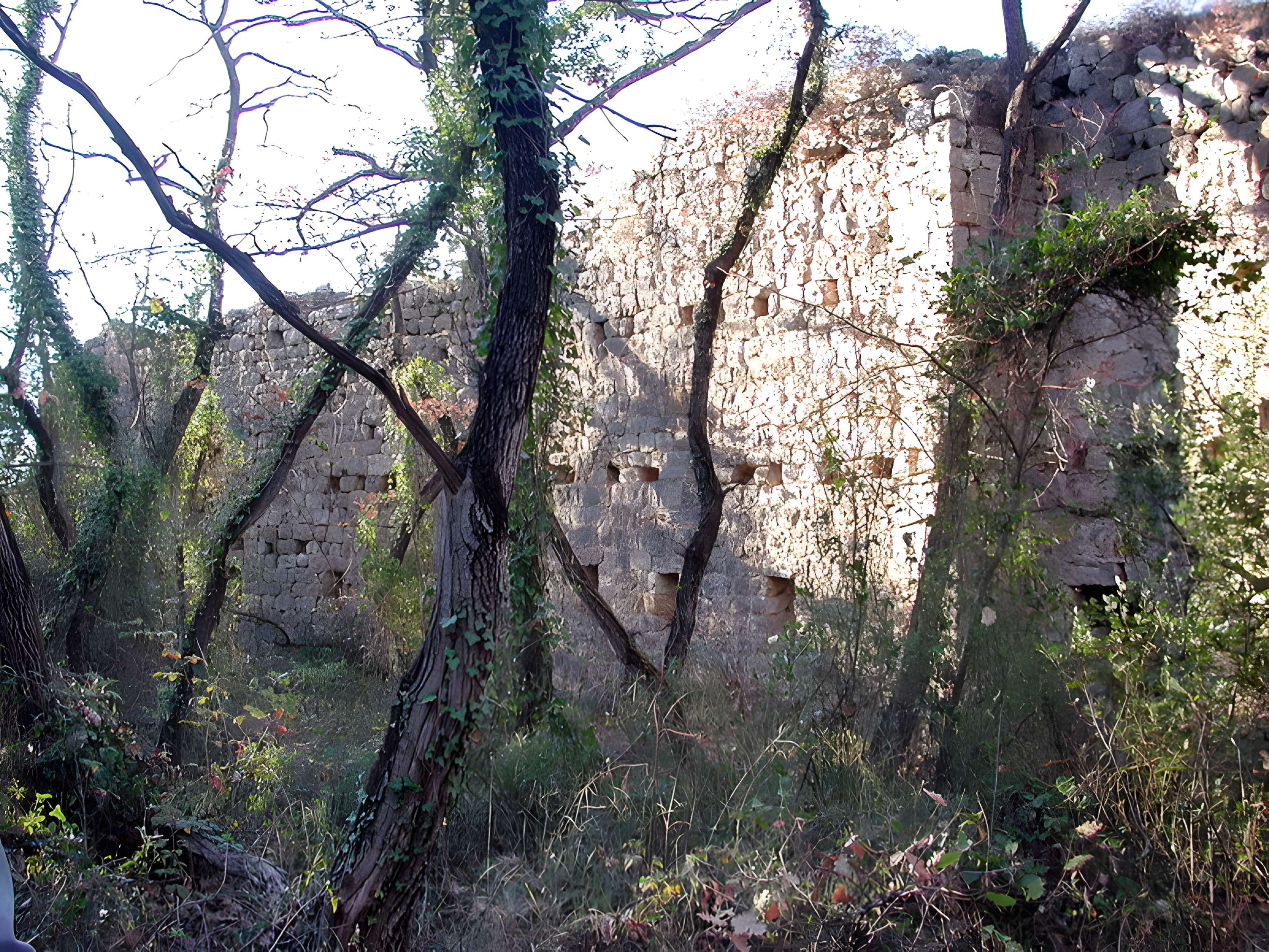 Village médiéval de Puybresson ou Pibresson-Venasque (ruines du)