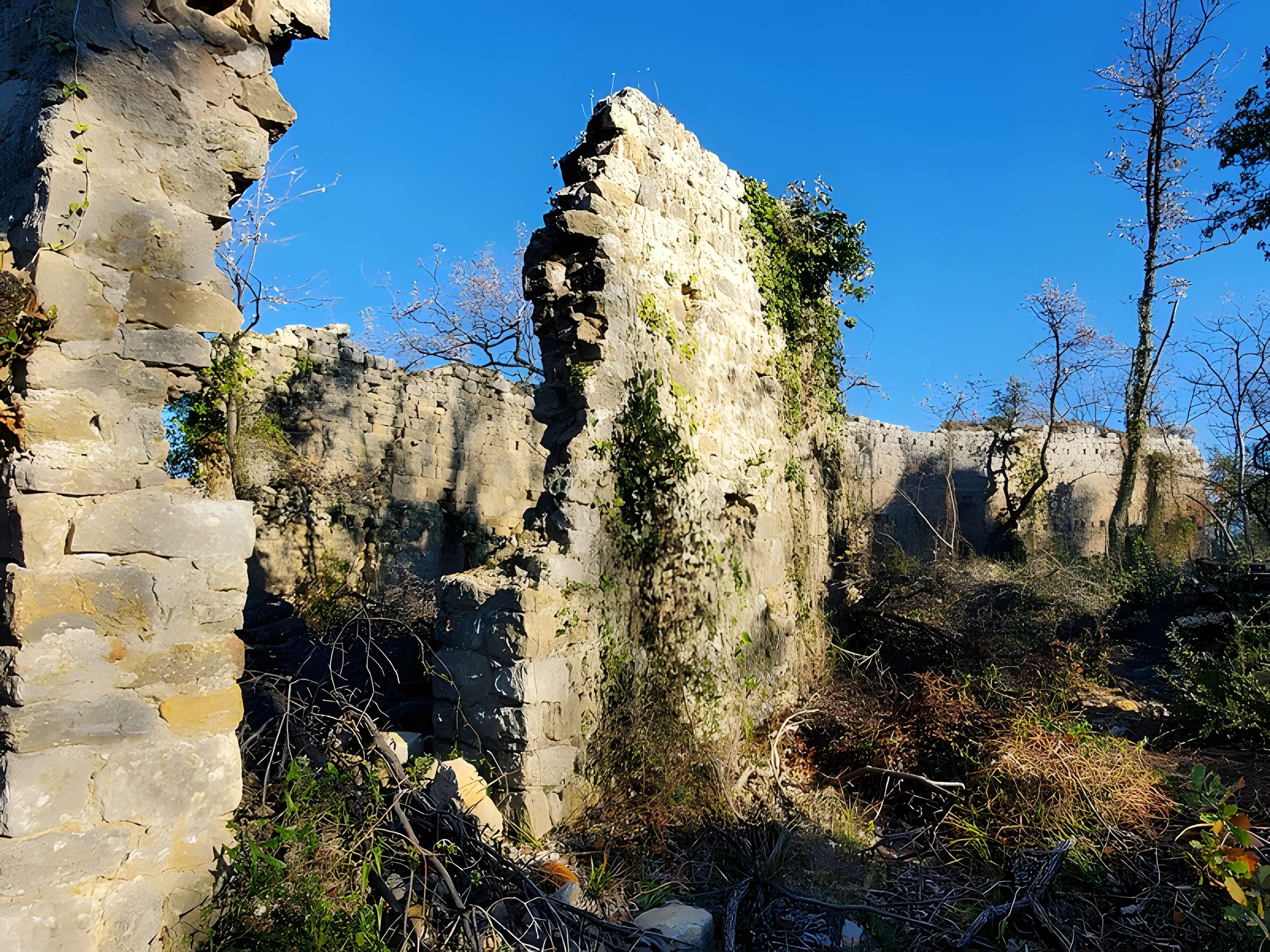 Village médiéval de Puybresson ou Pibresson-Venasque (ruines du)