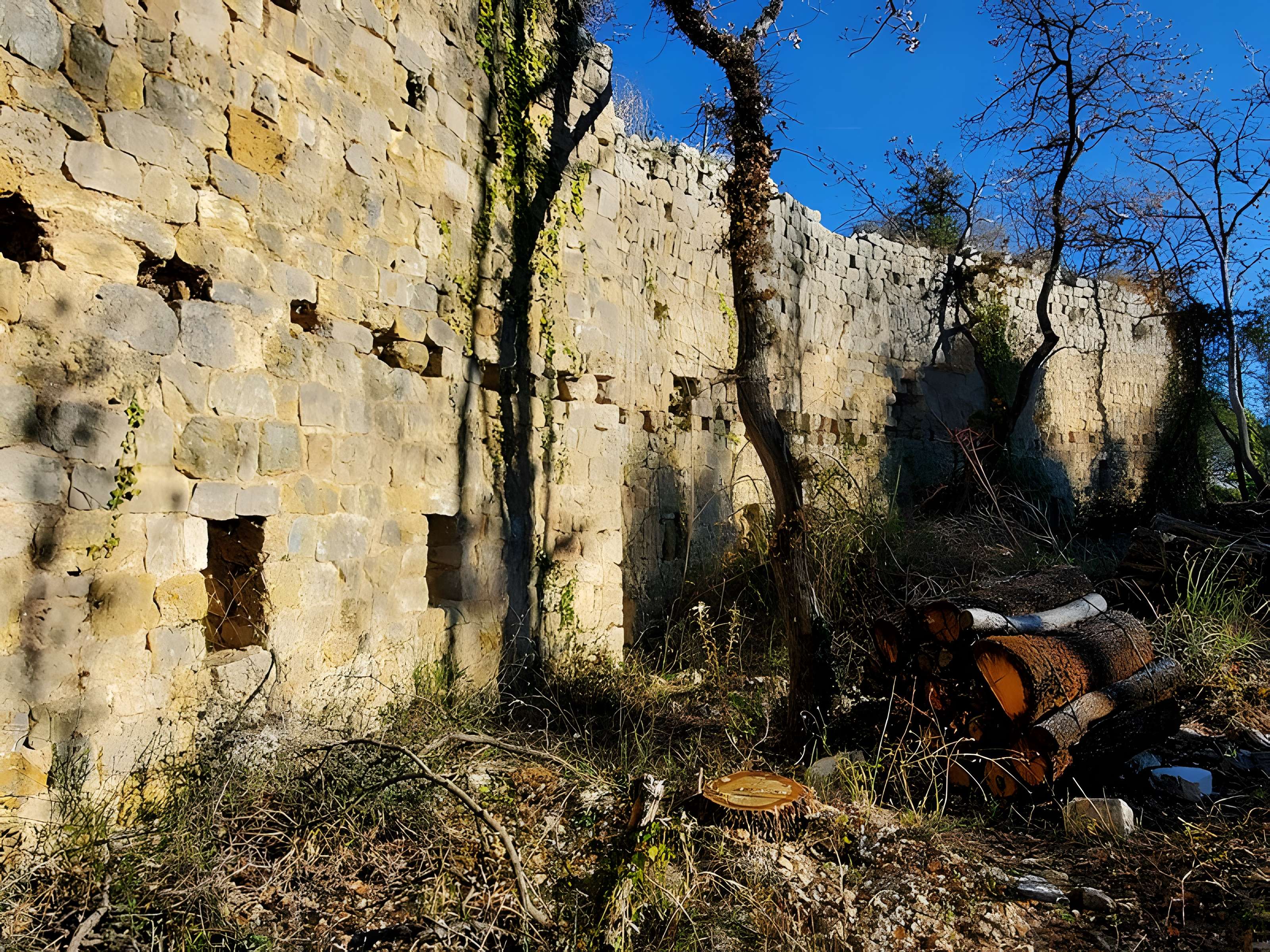 Village médiéval de Puybresson ou Pibresson-Venasque (ruines du)