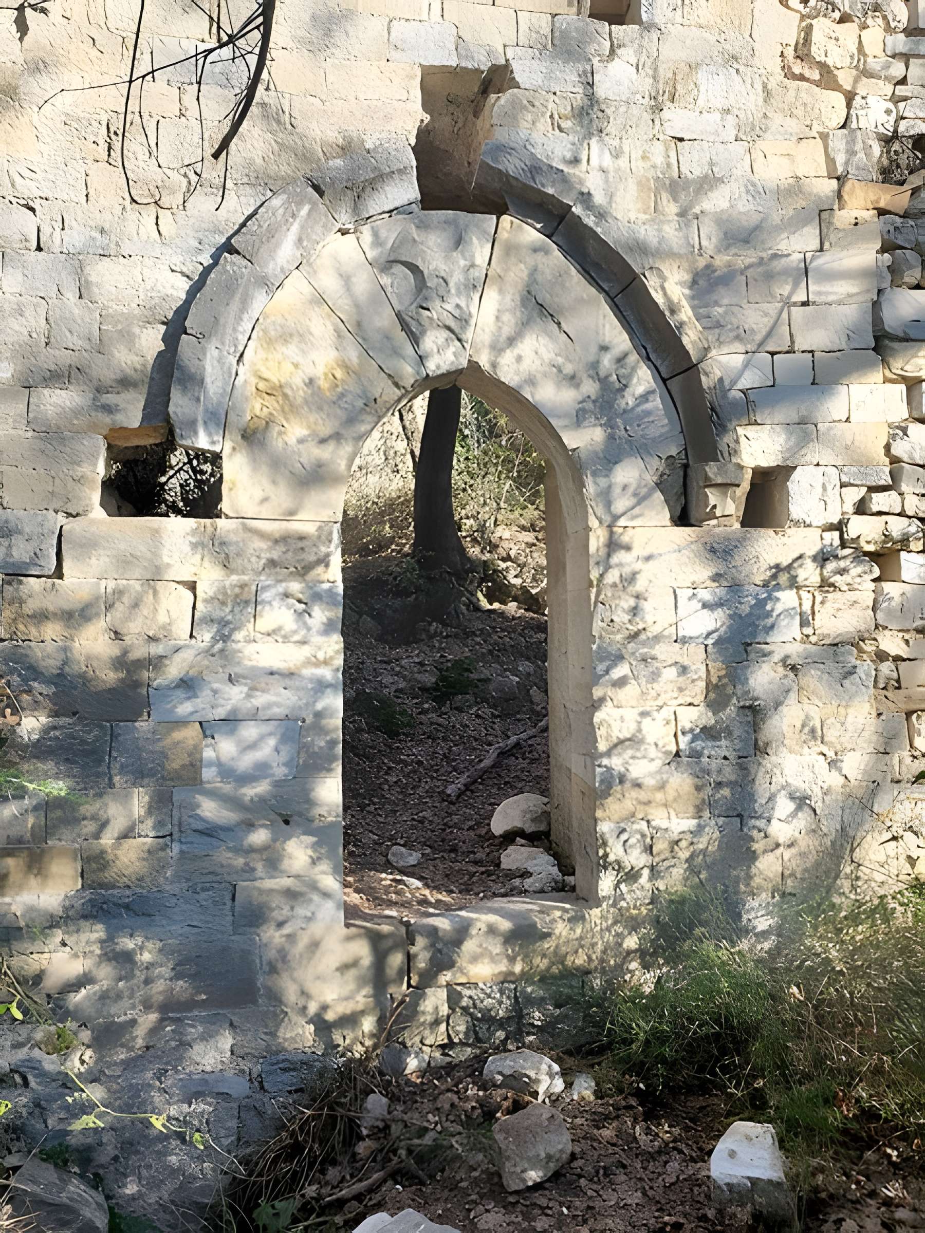Village médiéval de Puybresson ou Pibresson-Venasque (ruines du)