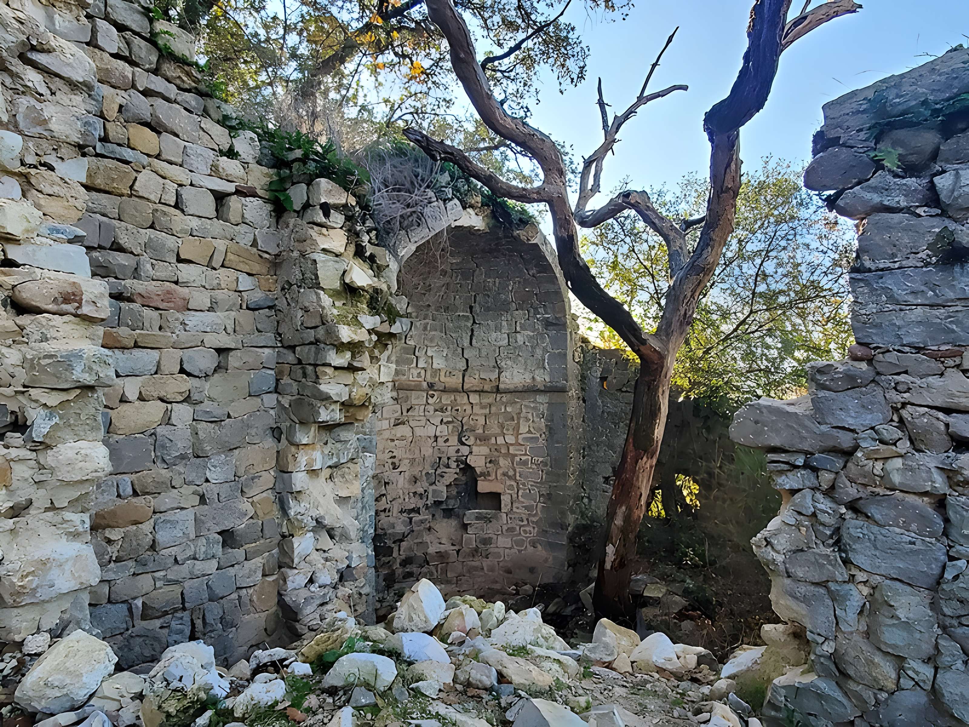 Village médiéval de Puybresson ou Pibresson-Venasque (ruines du)