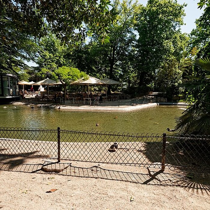 Photo de Jardin du Rocher des Doms