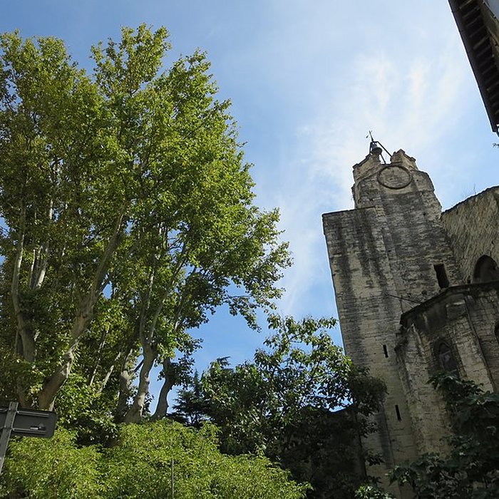 Photo de Tour et chapelle des Cordeliers