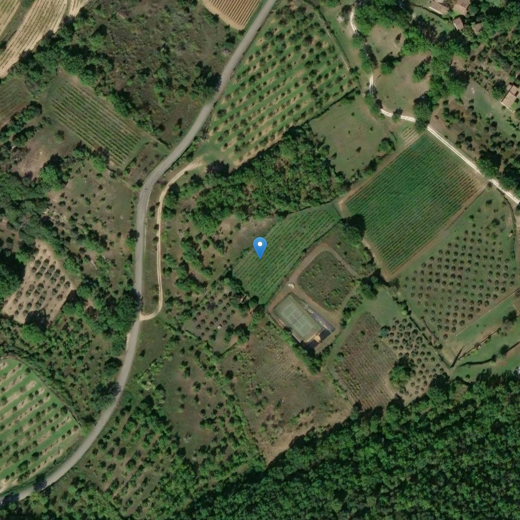 Photo de 史前吉斯德 (公园)