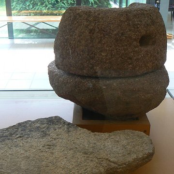 Oppidum gaulois de Moulay