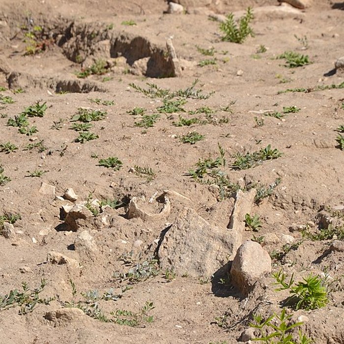 Photo de Chapelle Saint-Andéol