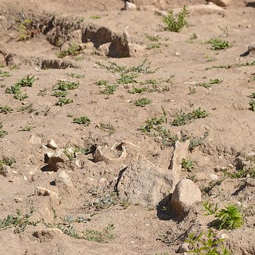 Chapelle Saint-Andéol