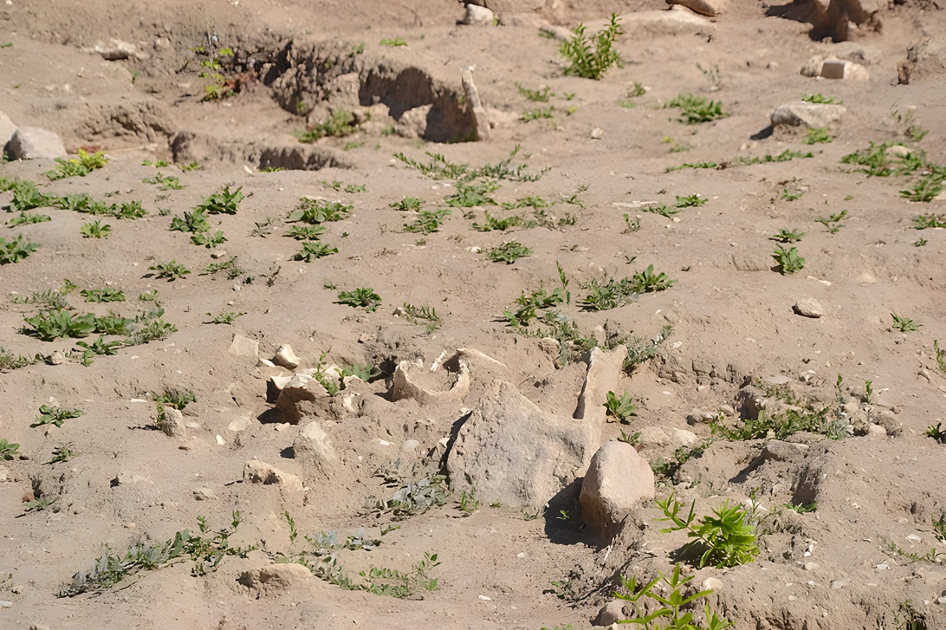 Chapelle Saint-Andéol