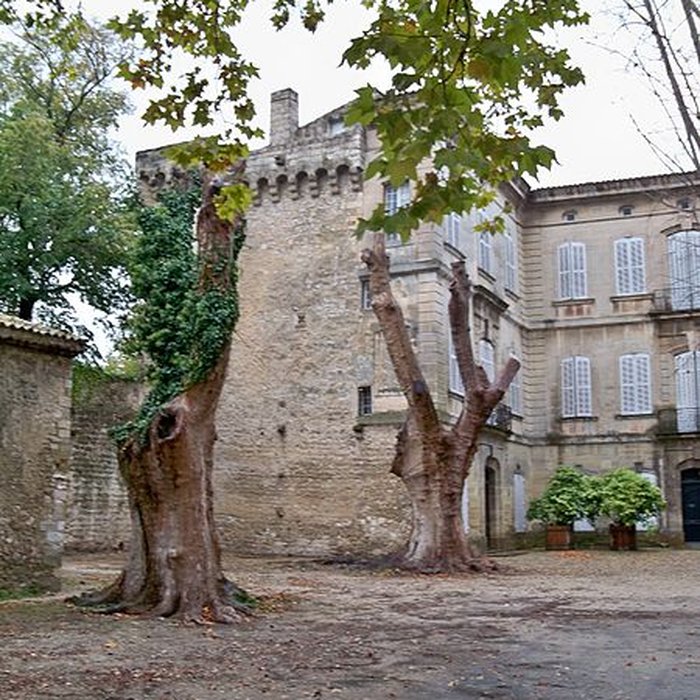 Photo de Château du Thor