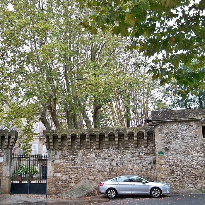 Photo de Château du Thor