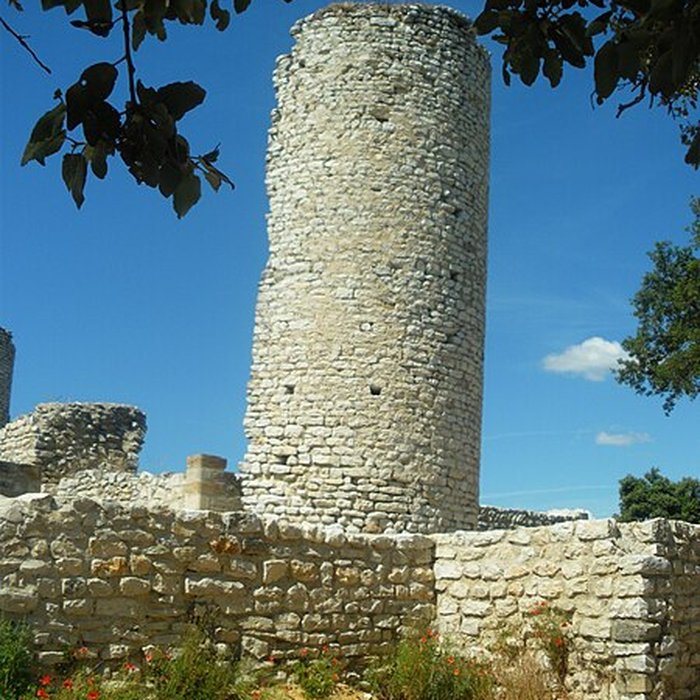 Photo de Monastère fortifié de Thouzon