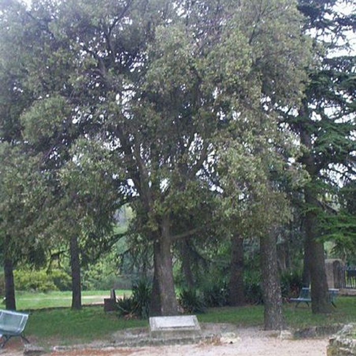 Photo de Colline Saint-Eutrope