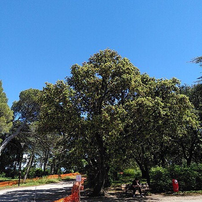 Photo de Colline Saint-Eutrope