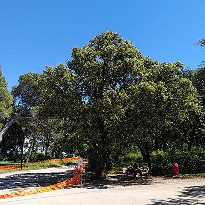 Photo de Colline Saint-Eutrope