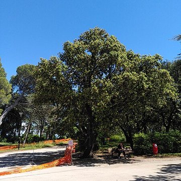 Colline Saint-Eutrope
