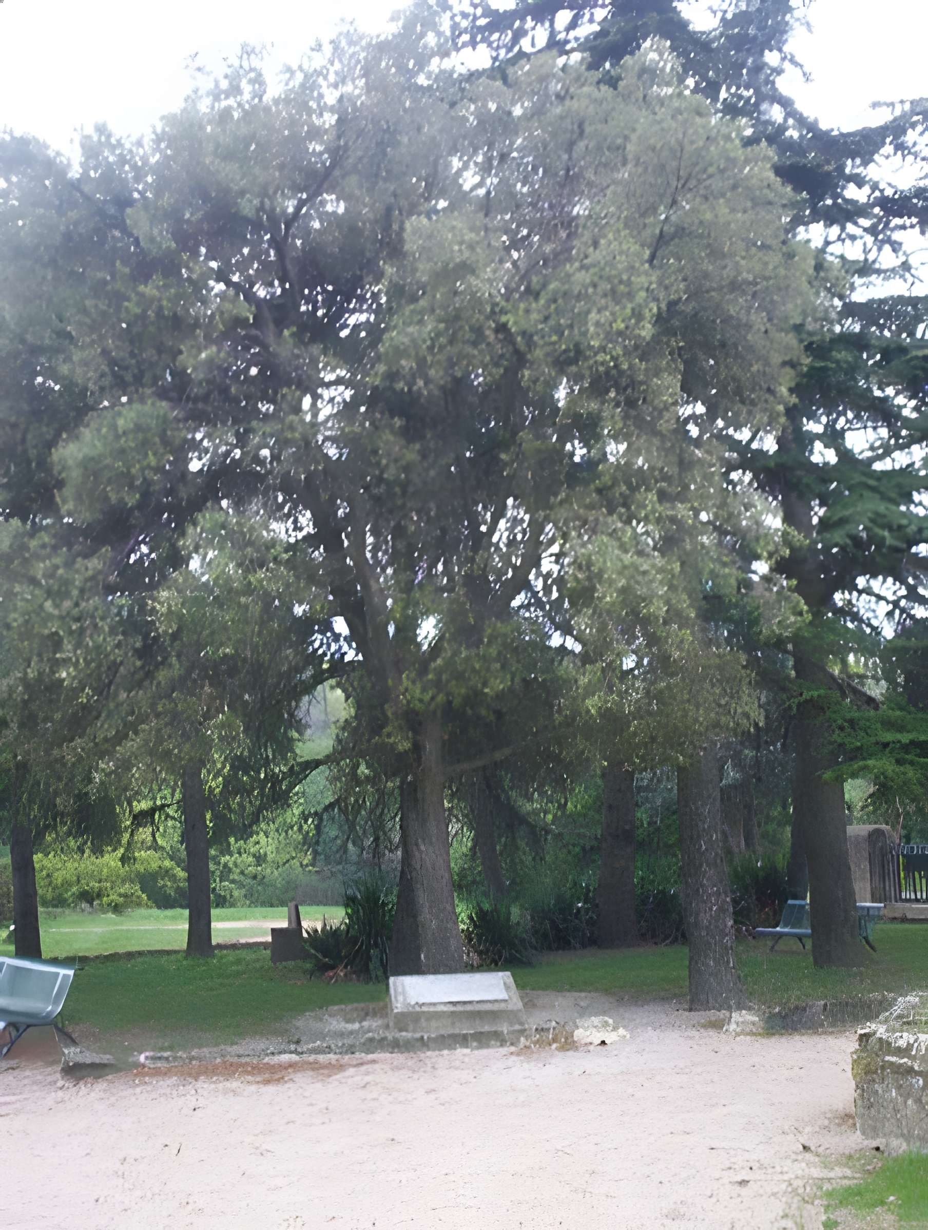 Colline Saint-Eutrope