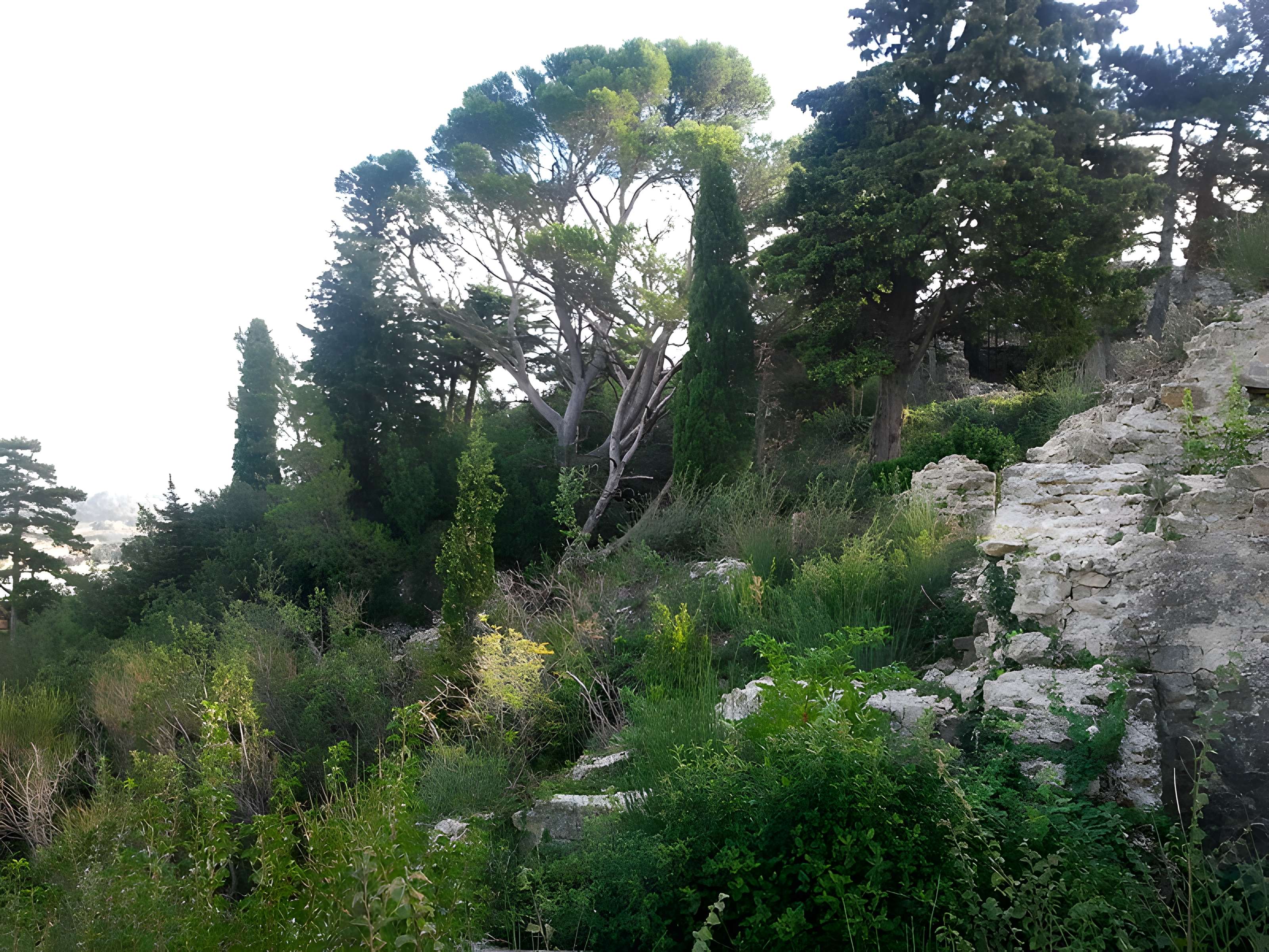 Colline Saint-Eutrope