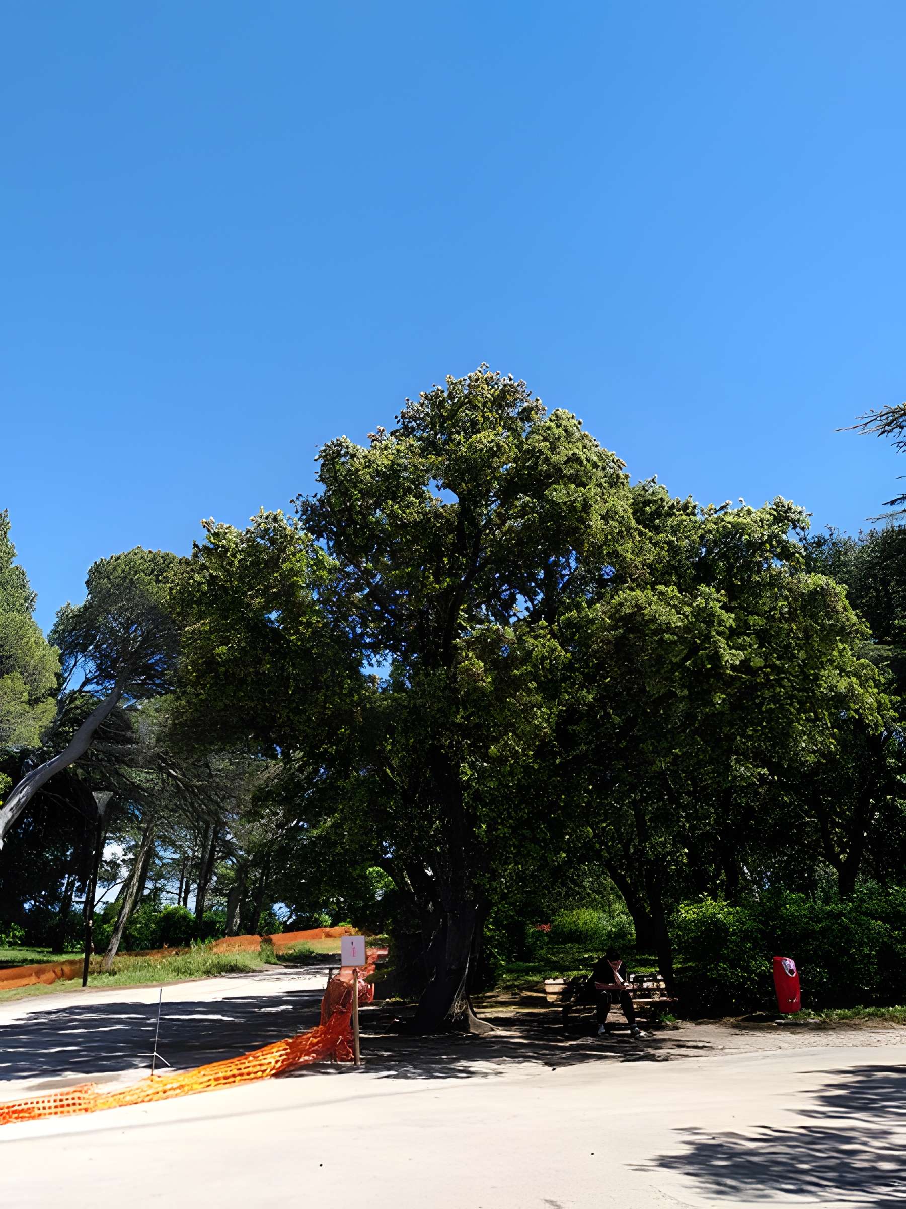 Colline Saint-Eutrope