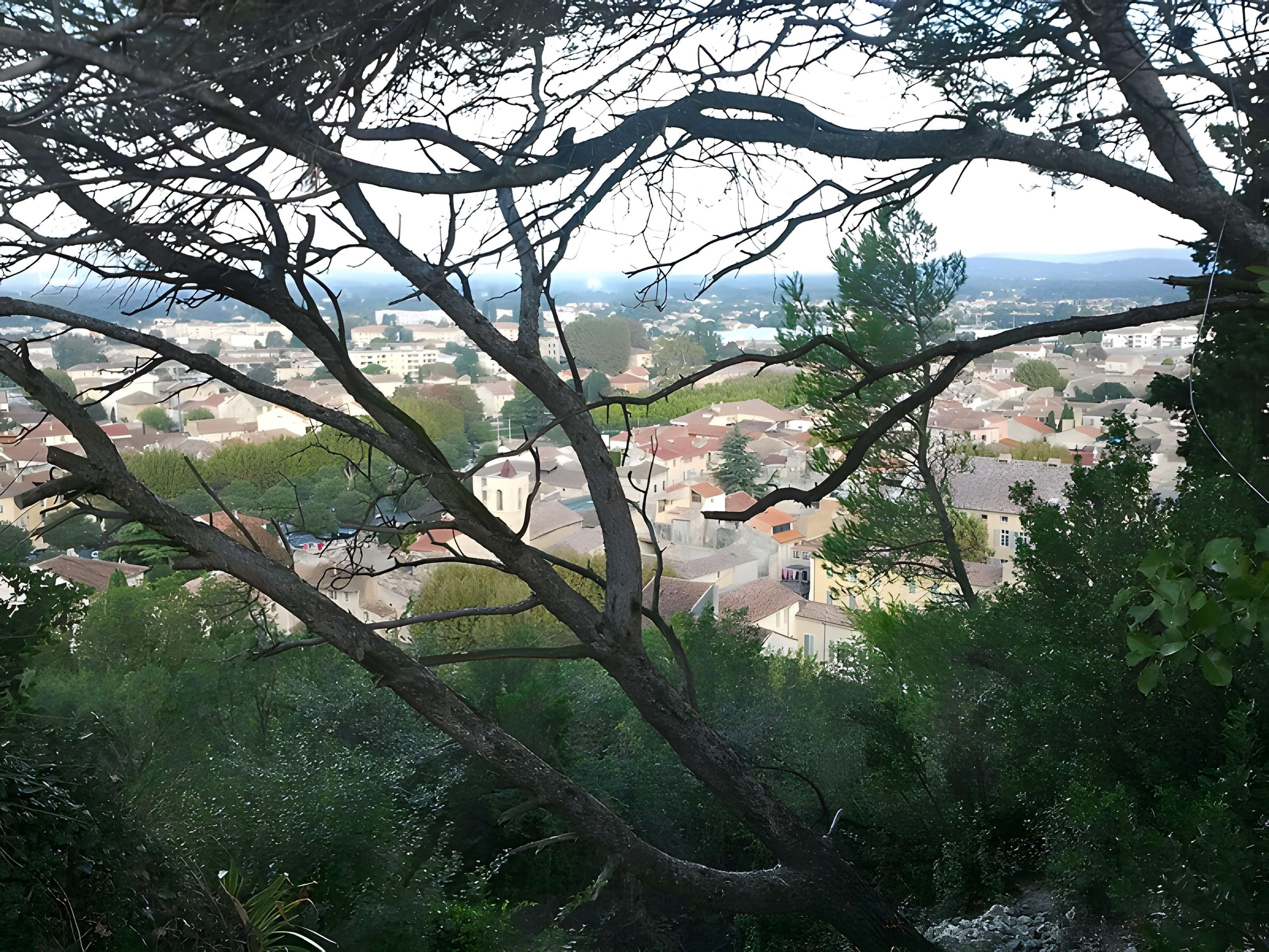 Colline Saint-Eutrope