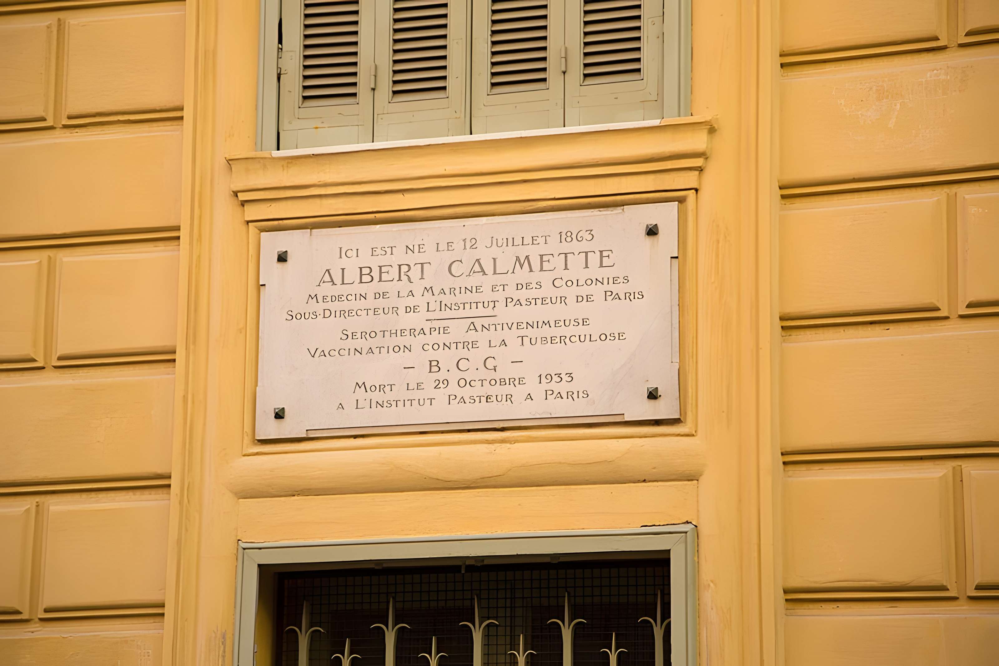 Palais de la Préfecture, ancien palais des rois de Sardaigne