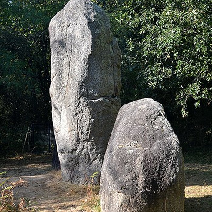 Photo de Menhir