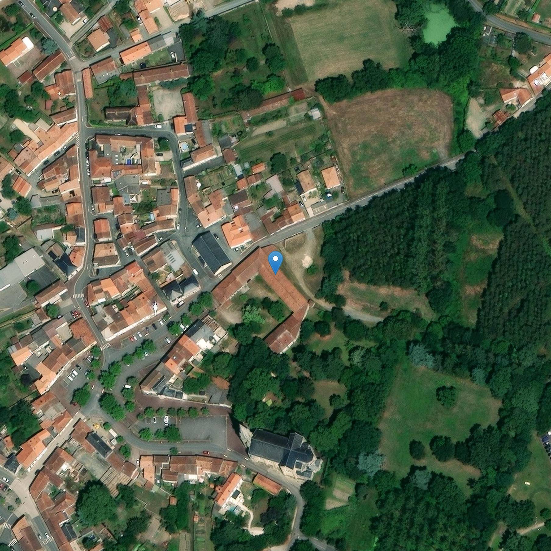 Photo de Antiguo castillo de Bournezeau