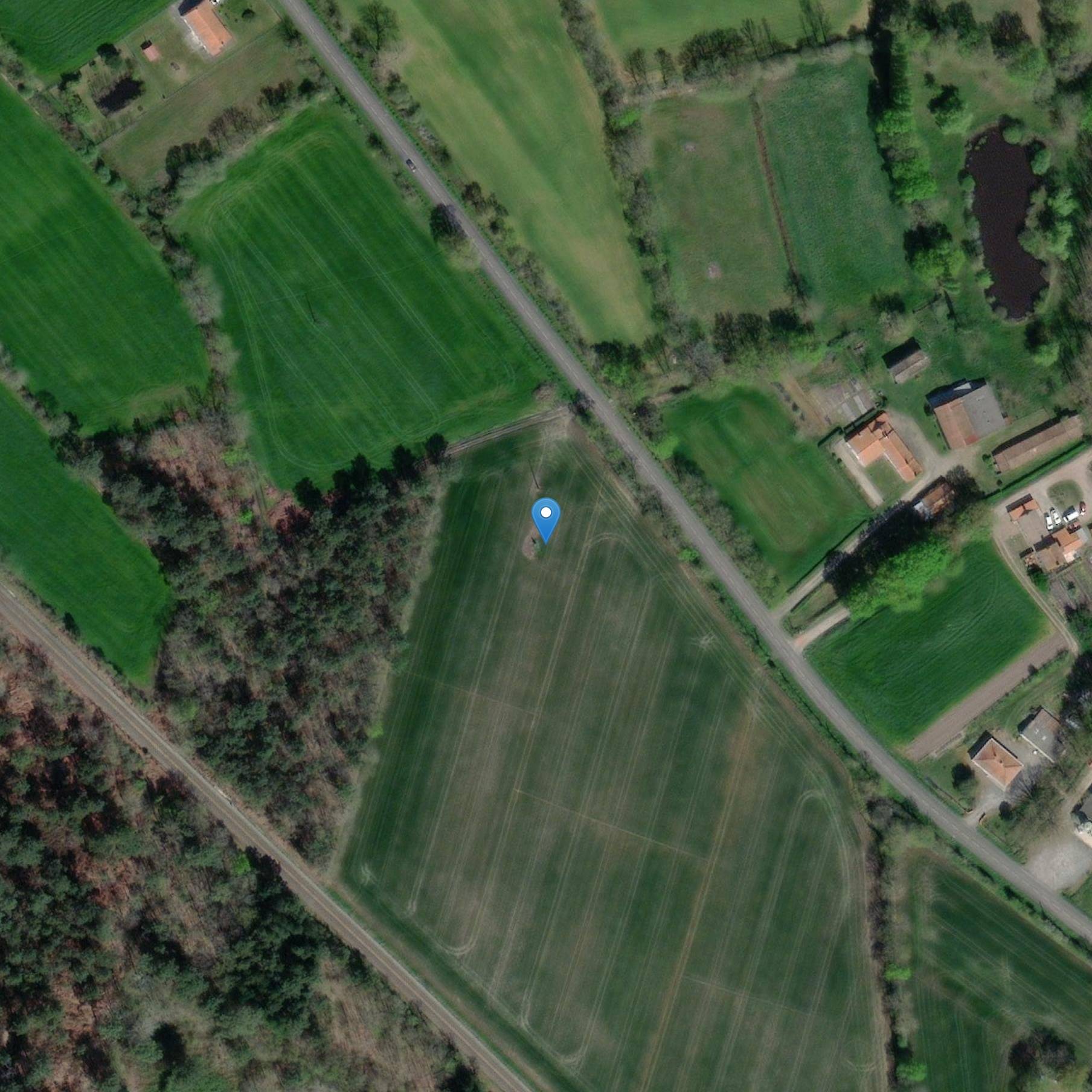 Photo de Menhir dice que el Palissonnière