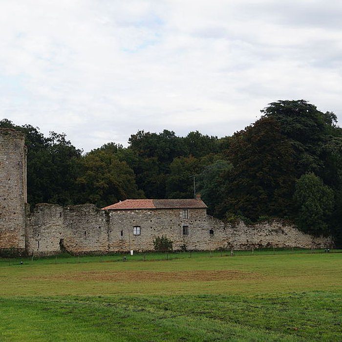 Photo de Château ruines du vieux