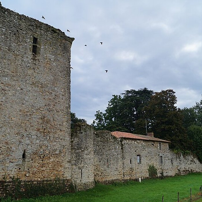 Photo de Château ruines du vieux
