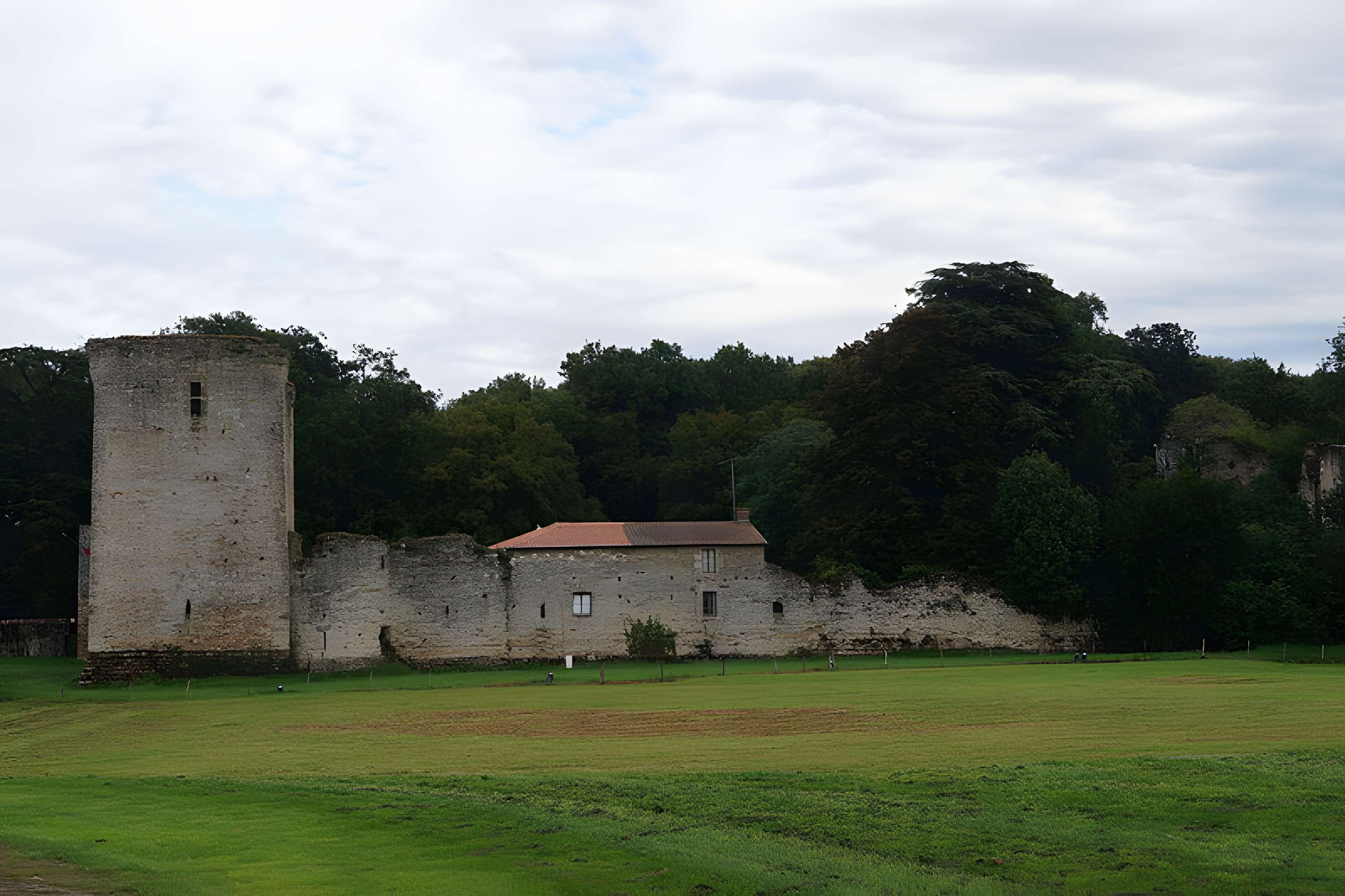 Château (ruines du vieux)