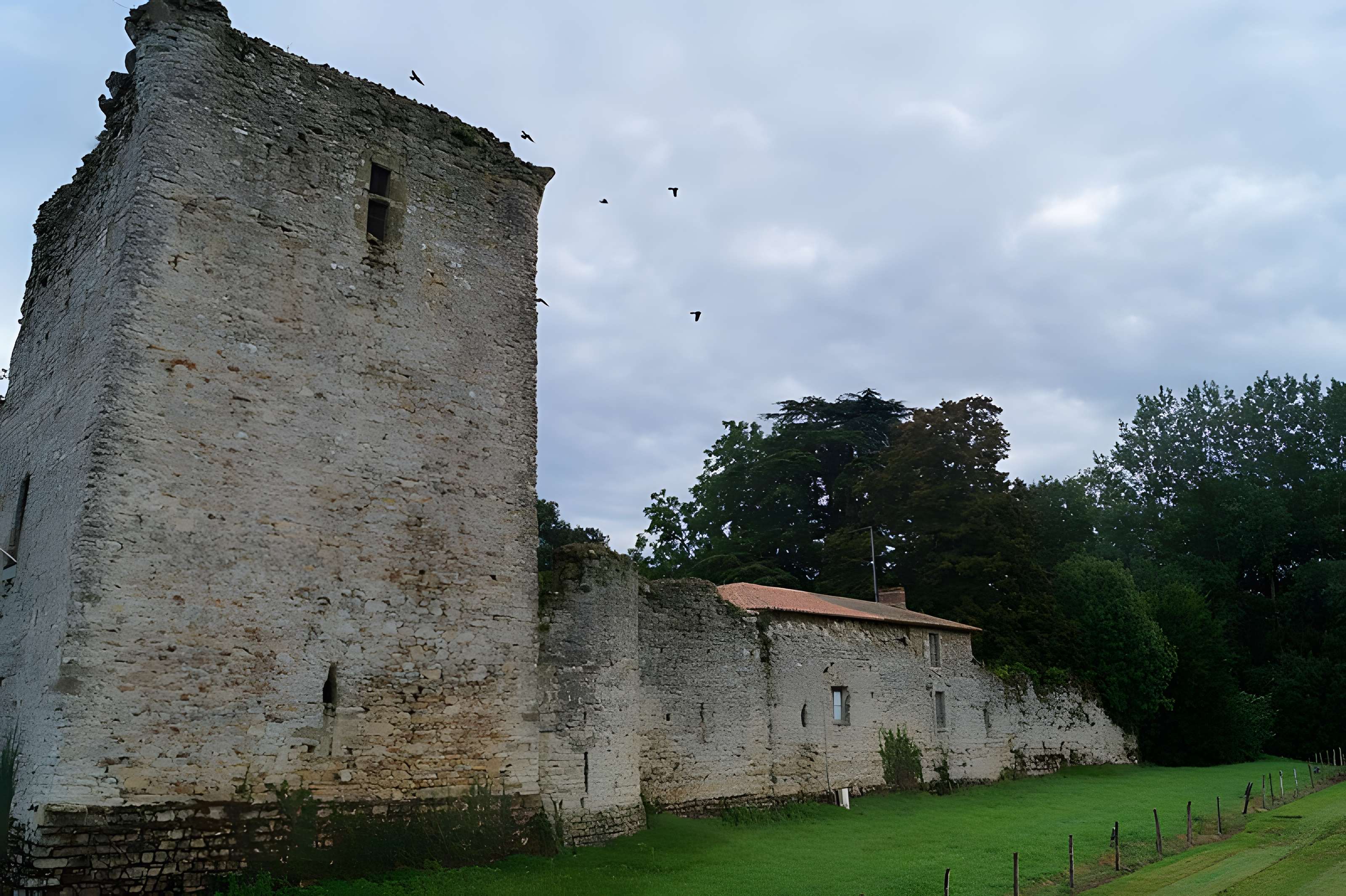 Château (ruines du vieux)