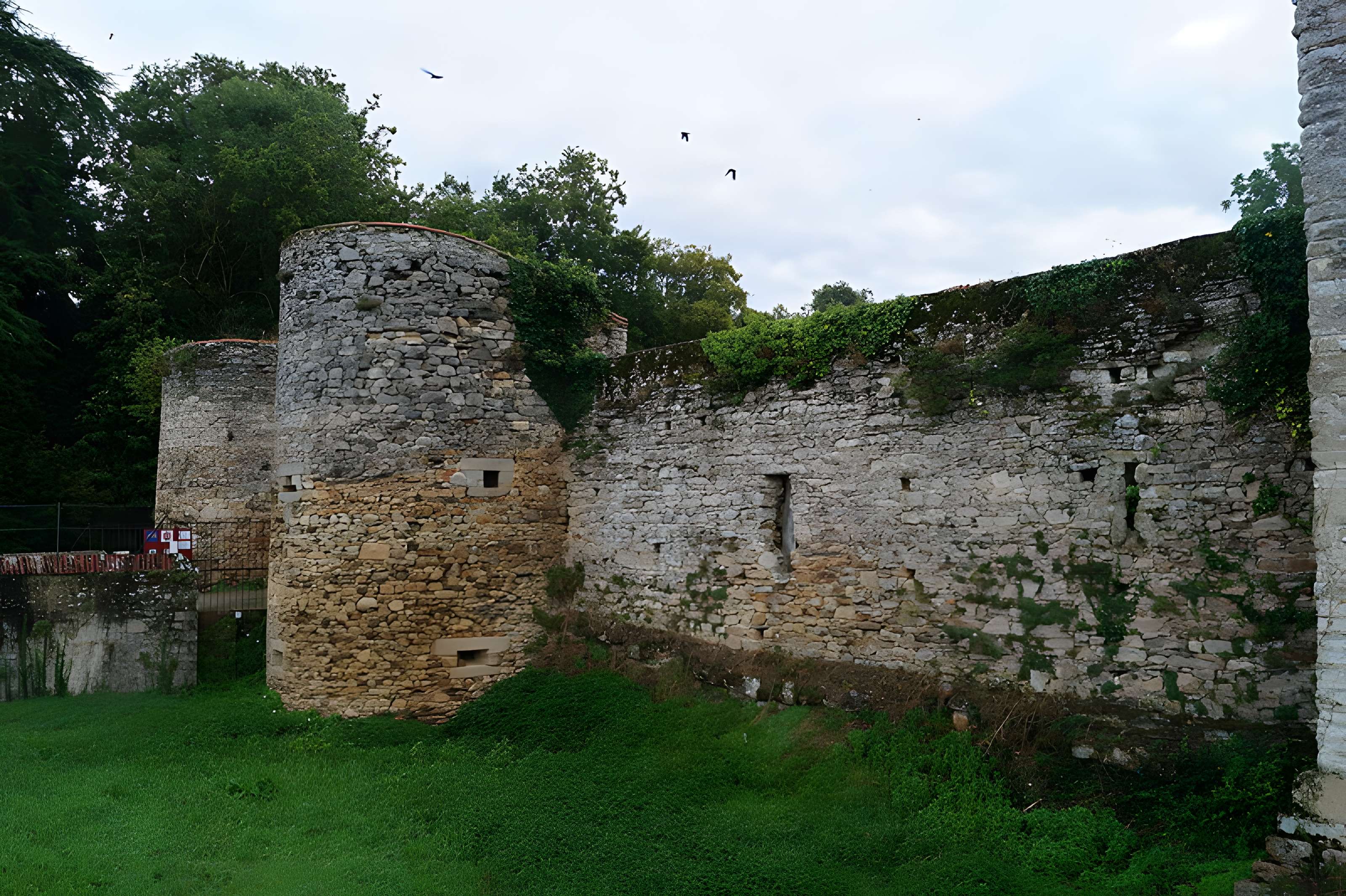 Château (ruines du vieux)