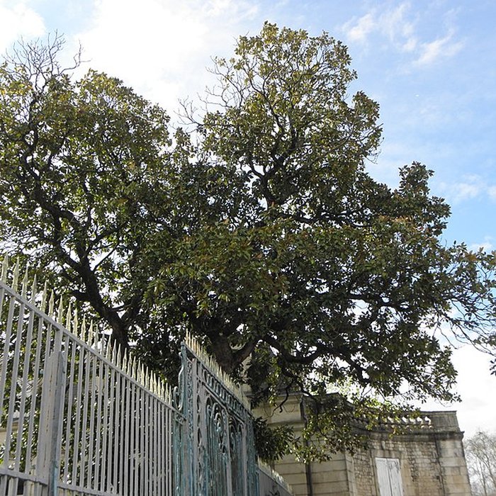 Photo de Caserne ou Quartier Belliard
