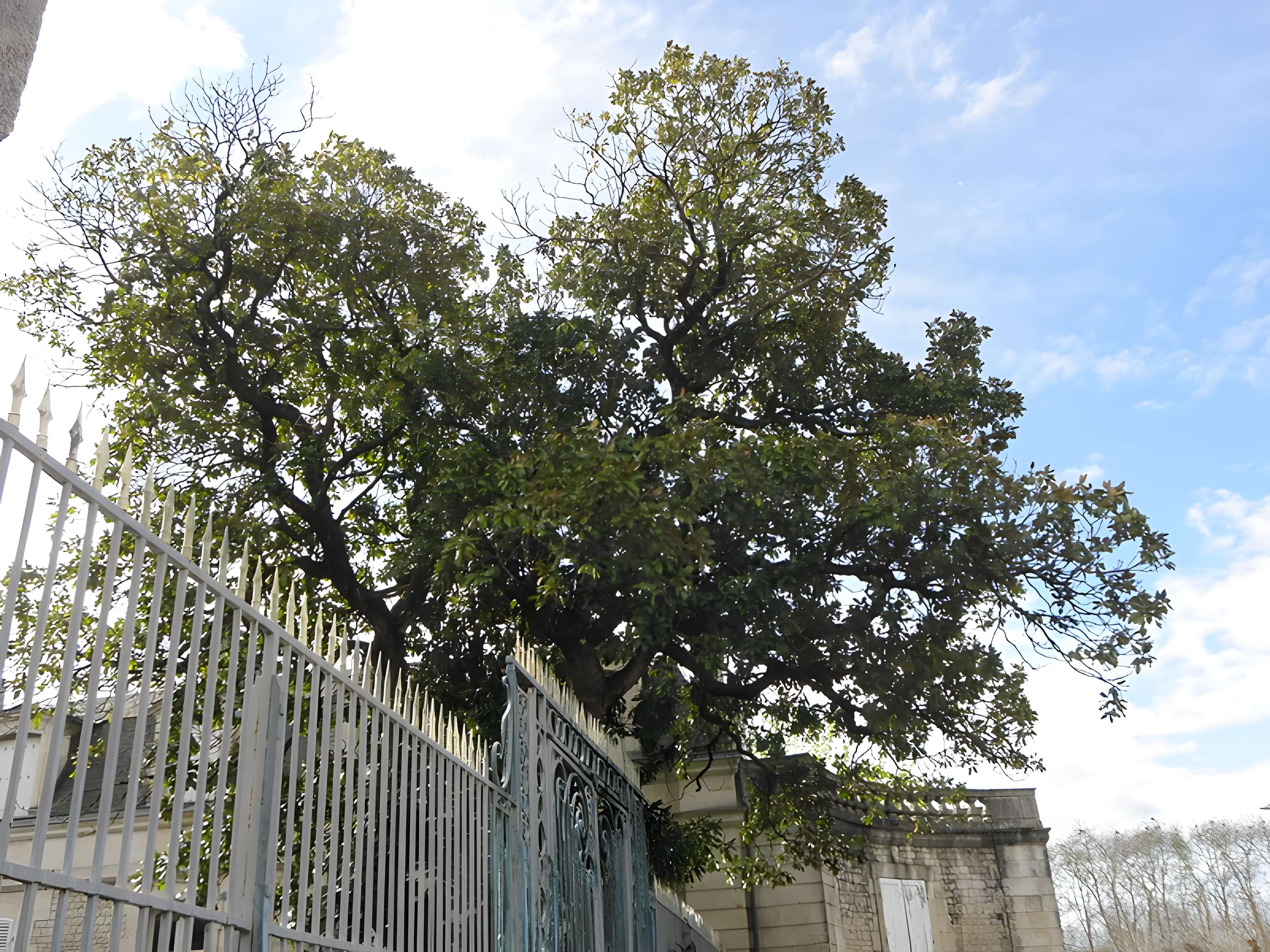 Caserne ou Quartier Belliard