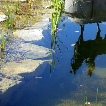 Statue équestre de Napoléon Ier