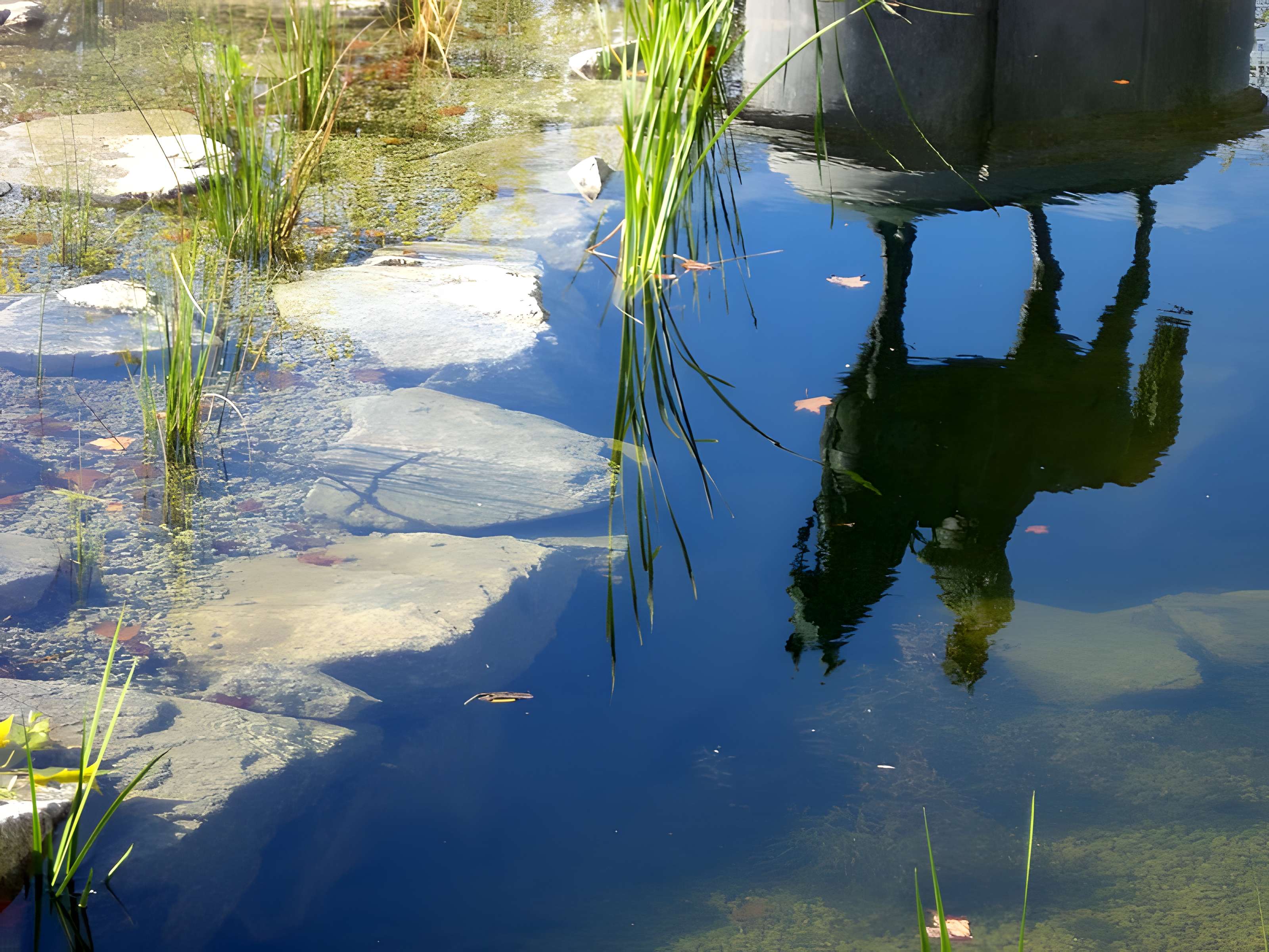 Statue équestre de Napoléon Ier