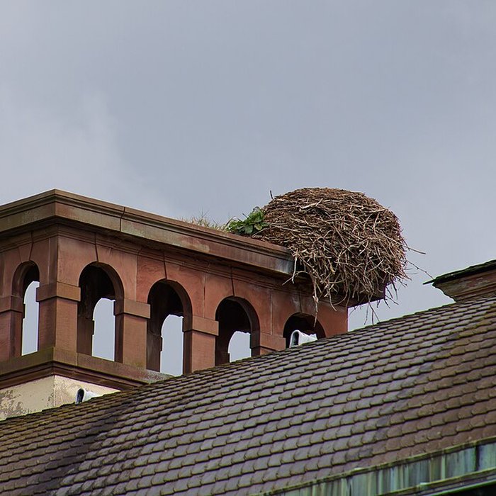 Photo de Parc de lOrangerie à Strasbourg