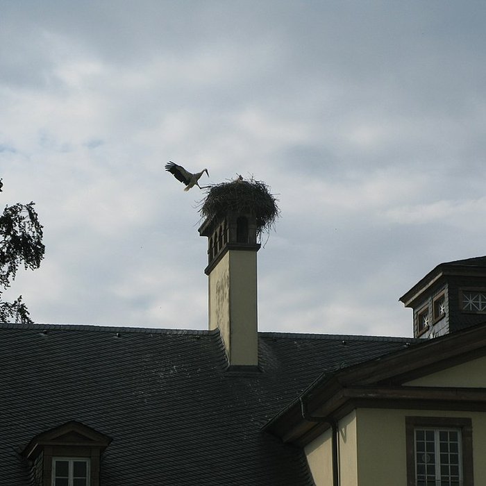 Photo de Parc de lOrangerie à Strasbourg