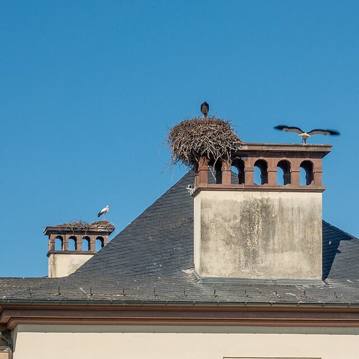 Photo de Parc de lOrangerie à Strasbourg