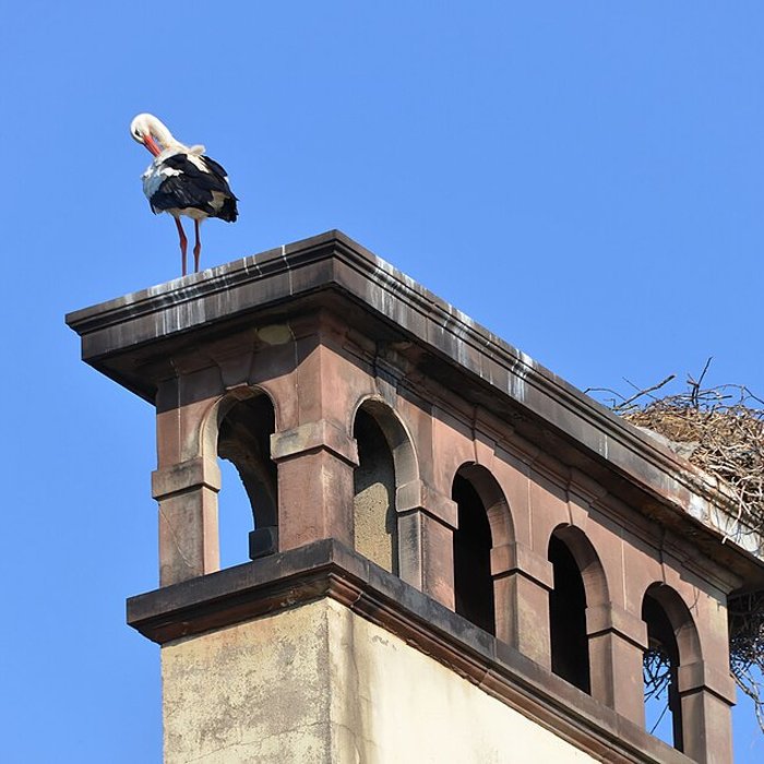 Photo de Parc de lOrangerie à Strasbourg
