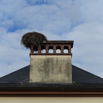 Parc de lOrangerie à Strasbourg