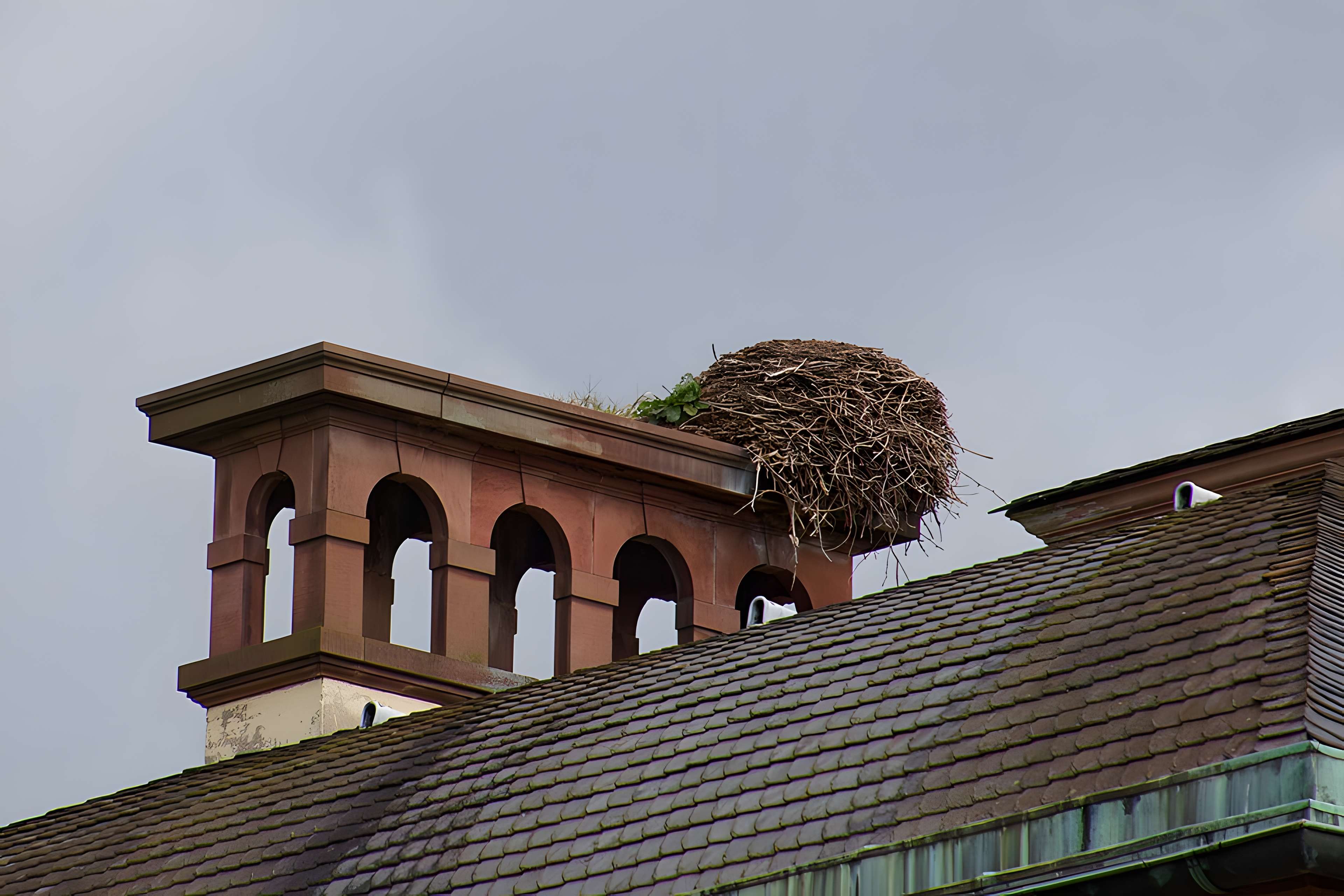 Parc de l'Orangerie à Strasbourg